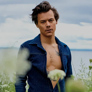 HARRY STYLES